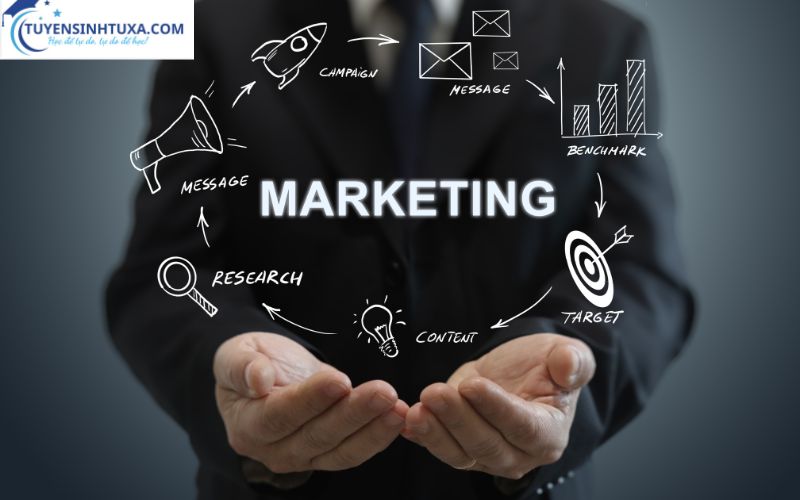 Mức Lương và Tiềm Năng Nghề Nghiệp trong Ngành Quản Trị Marketing